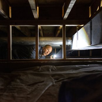 Professional Inspection Services - In my experience, the crawlspace is where most defects are found. - Home Inspectors Near Me