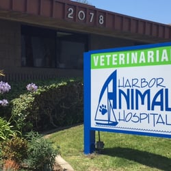 Harbor Animal Hospital