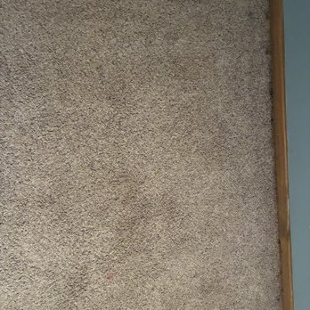 Pristine Perfection Cleaning - Before carpet cleaning - Office Cleaning Near Me Pristine Perfection Cleaning - Before carpet cleaning - Office Cleaning Near Me