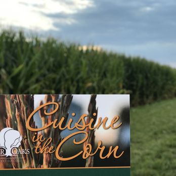 Bloomsbury Farm - In the Corn - Attraction Farms Near Me - Atkins, Iowa Bloomsbury Farm - In the Corn - Attraction Farms Near Me - Atkins, Iowa