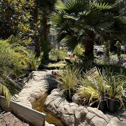 Standard Design Group Nurseries