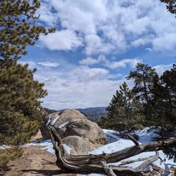 Lumpy Ridge Trailhead