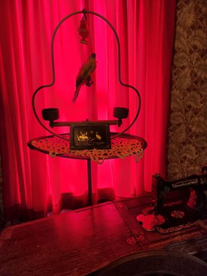 Dolly's House by null