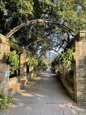 New Orleans Botanical Garden by null