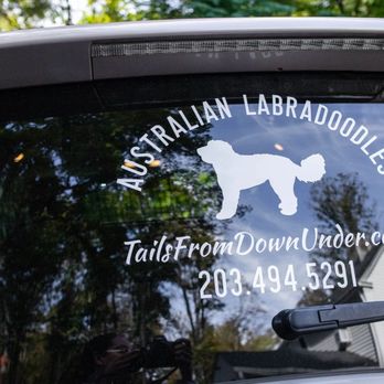 Tails From Down Under - Pet Breeders Near Me - Woodbridge, Connecticut