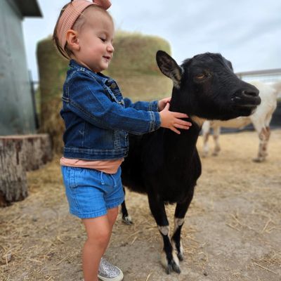 STORYBOOK RANCH PUMPKIN PATCH - Updated January 2026 - 38 Photos - 402 ...