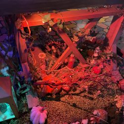 Museum of Make Believe - Much to look at all around