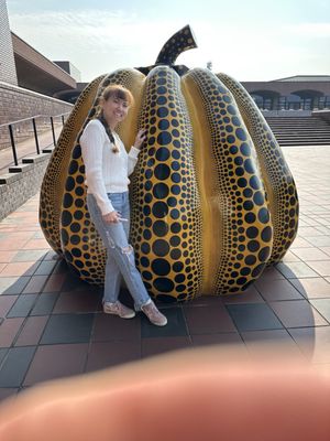 Fukuoka Art Museum by null