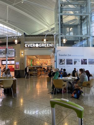 Evergreens by null
