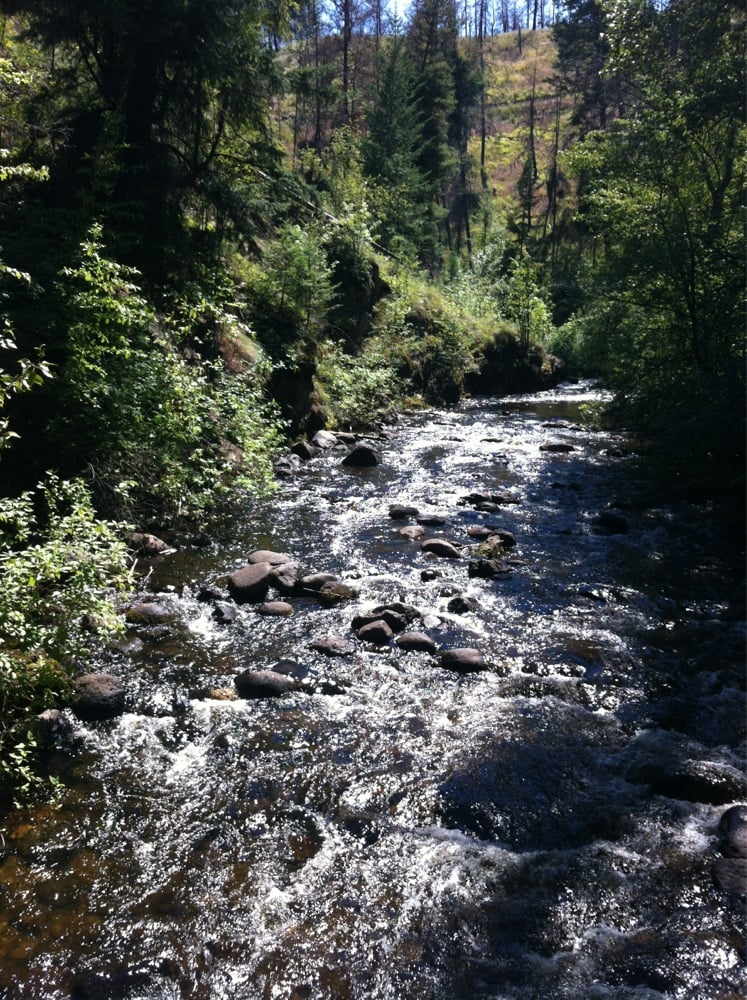 BEAR CREEK PROVINCIAL PARK Updated March 2024 107 Westside Road N, Kelowna, British Columbia