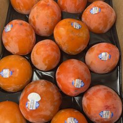 Twins Produce - 최상급 홍시 있습니다