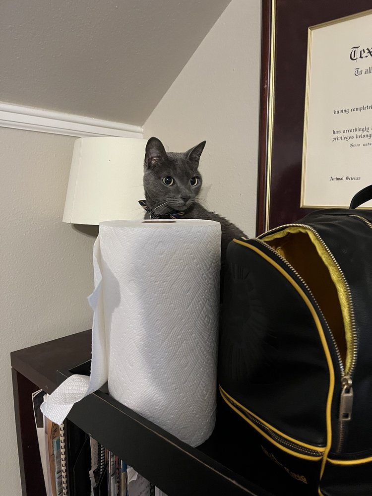 NORTHERN OAKS BIRD & ANIMAL HOSPITAL Updated August 2024 27 Photos & 35 Reviews 13395