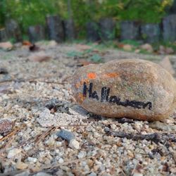 Emmons Preserve