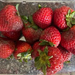 Richard's Produce - Moldy Strawberries!