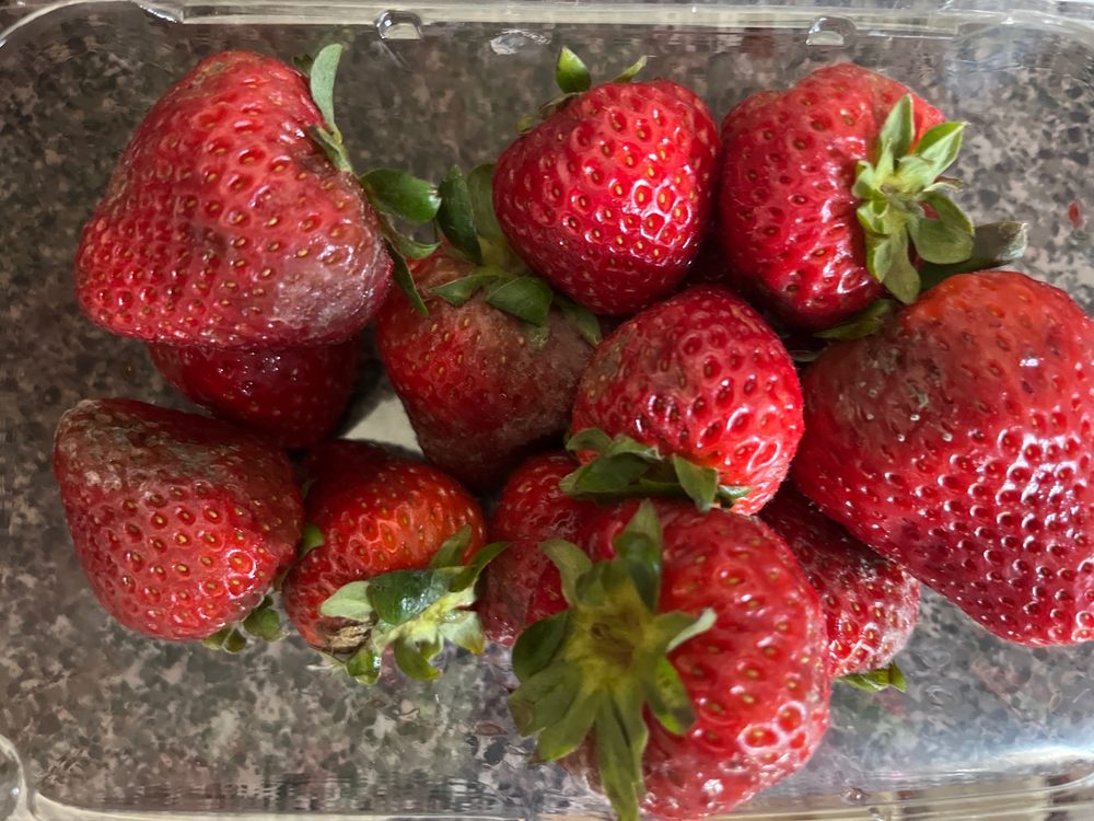 RICHARD’S PRODUCE Updated August 2024 635 N Creek Dr, Festus