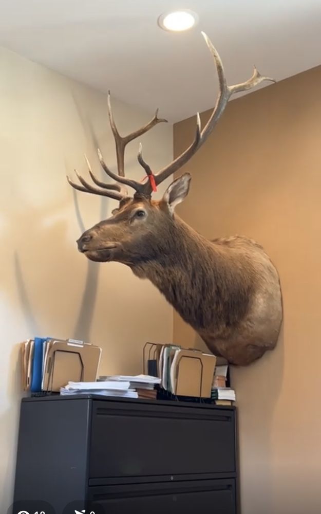 Law Offices of Andre Boghosian - immigration attorney in Los Angeles, CA