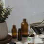 Photo of Eden Botanicals