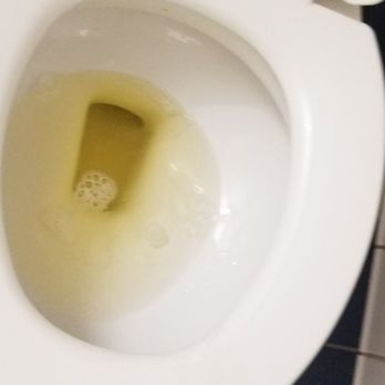 Valley Inn - How am I supposed to flush my piss - Hotels Near Me - Mission Hills, California Valley Inn - How am I supposed to flush my piss - Hotels Near Me - Mission Hills, California