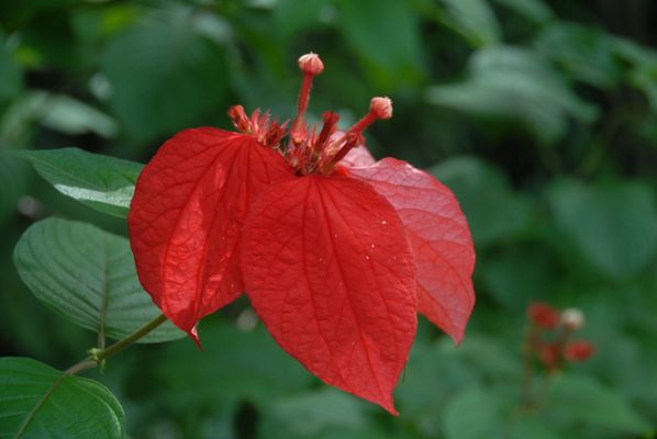 BLOCK BOTANICAL GARDENS - Updated October 2025 - 19 Photos