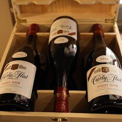 Vinetrekker Wine and Food Tours - Fantastic Pinot Noirs at the Curly Flat Winery
