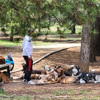 Bosque de Chapultepec - The dog whisperer - Parks Near Me - Ciudad de México, DIF Bosque de Chapultepec - The dog whisperer - Parks Near Me - Ciudad de México, DIF