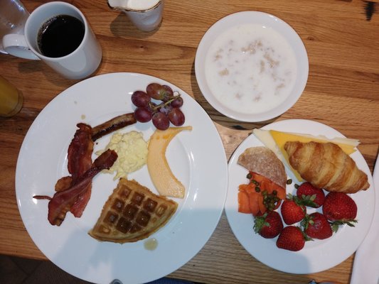 The Fig & The Judge by null