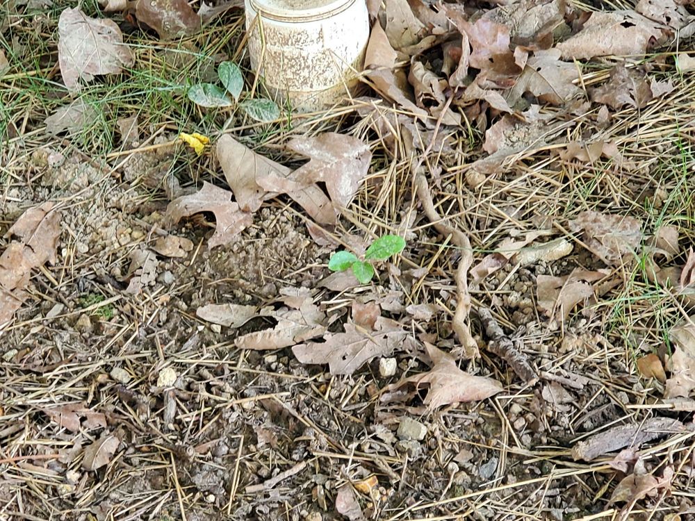 Slide of Pipe Wrench Plumbing, Heating & Cooling