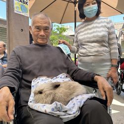 Pine Grove Healthcare and Wellness Centre - Petting zoo event