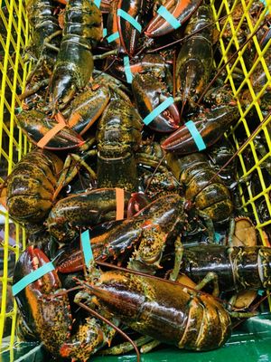 Thurston's Lobster Pound by null