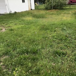 Fruitful Lawn Maintenance