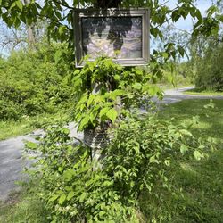 Lagoon Park - One of the trail signs.