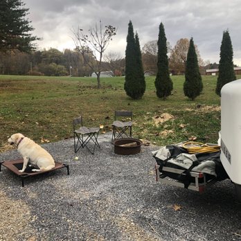 Smoker Hollar Rv Resort - Rear scenery from campsite with parking pad, campfire ring and happy pooch. - Campgrounds Near Me - Sevierville, Tennessee Smoker Hollar Rv Resort - Rear scenery from campsite with parking pad, campfire ring and happy pooch. - Campgrounds Near Me - Sevierville, Tennessee