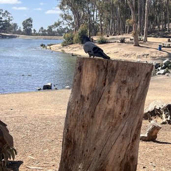 Chollas Lake Park - Parks Near Me - San Diego, California Chollas Lake Park - Parks Near Me - San Diego, California