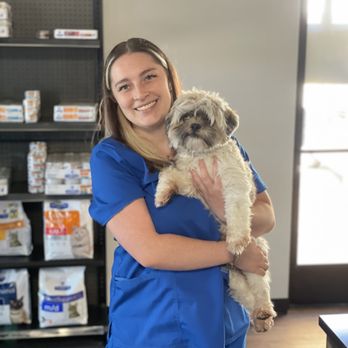 CityVet - Veterinarians Near Me - Cedar Hill, Texas CityVet - Veterinarians Near Me - Cedar Hill, Texas