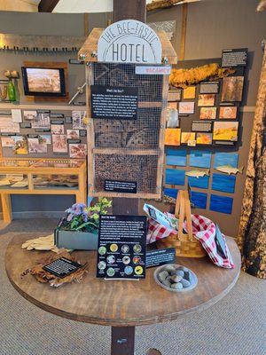 Cape Perpetua Visitor Center - Siuslaw National Forest by null