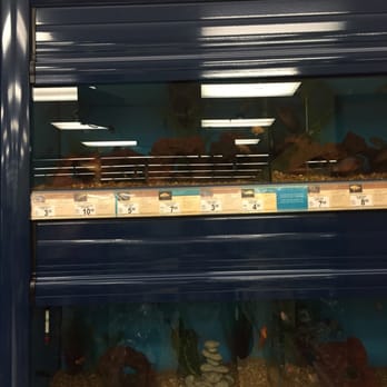Petco - Pet Stores Near Me - Honolulu, Hawaii Petco - Pet Stores Near Me - Honolulu, Hawaii