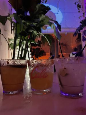 Bar Cala by null