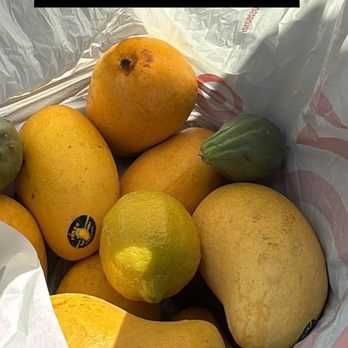 Cedar Market Ranch - Mango was $1 each. I got prickly pears and orange and lemon all for $18 - Farmers Market Near Me - Dallas, Texas Cedar Market Ranch - Mango was $1 each. I got prickly pears and orange and lemon all for $18 - Farmers Market Near Me - Dallas, Texas