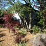 Photo of Gill Landscape