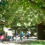 Photo of Shining Mountain Waldorf School