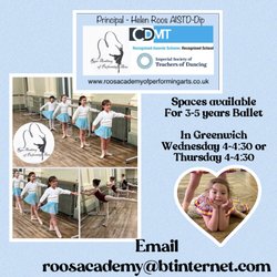 Roos Academy of Performing Arts