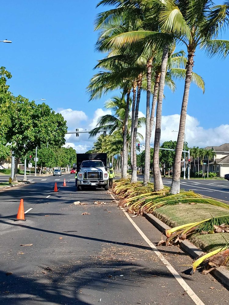 HTM Contractors - tree service in Honolulu, HI