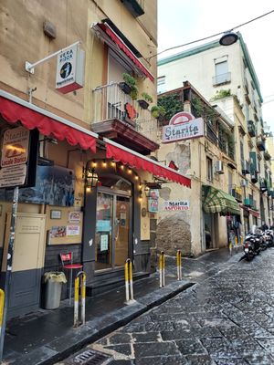 Starita by null