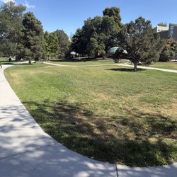 Packy Romans Park
