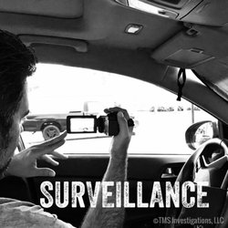 TMS Investigations - Discreet surveillance to get the results you need