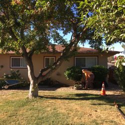 G Tree Service