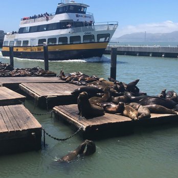 PIER 39 - Shopping Centers Near Me - San Francisco, California