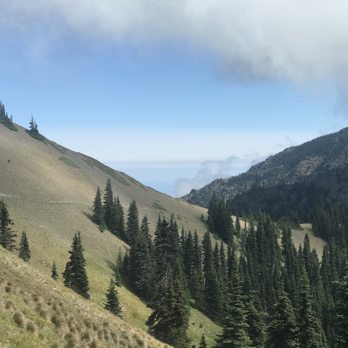 Hurricane Ridge - Parks Near Me - Port Angeles, Washington Hurricane Ridge - Parks Near Me - Port Angeles, Washington