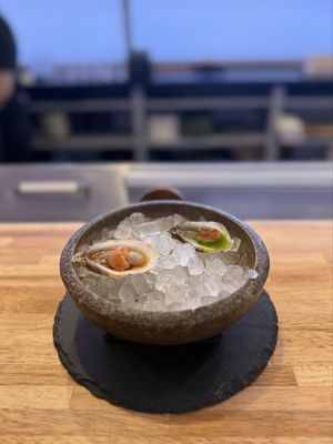 NoriNori HTX by null