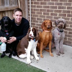 Walking K9 Friends - A crew!